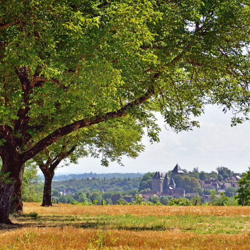 verger dordogne